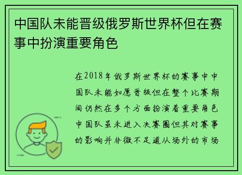 中国队未能晋级俄罗斯世界杯但在赛事中扮演重要角色 中国队未能晋级俄罗斯世界杯但在赛事中扮演重要角色